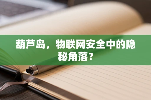 葫芦岛，物联网安全中的隐秘角落？