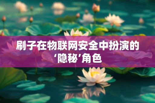 刷子在物联网安全中扮演的‘隐秘’角色