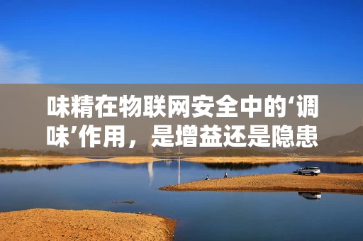 味精在物联网安全中的‘调味’作用，是增益还是隐患？