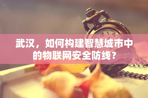 武汉，如何构建智慧城市中的物联网安全防线？