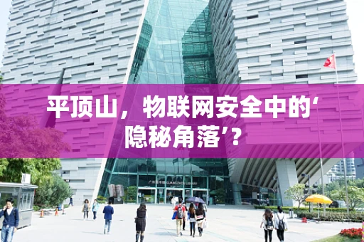 平顶山，物联网安全中的‘隐秘角落’？