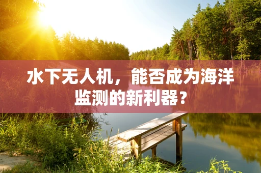 水下无人机，能否成为海洋监测的新利器？