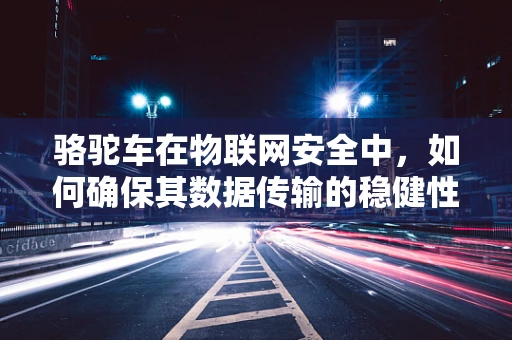 骆驼车在物联网安全中，如何确保其数据传输的稳健性？