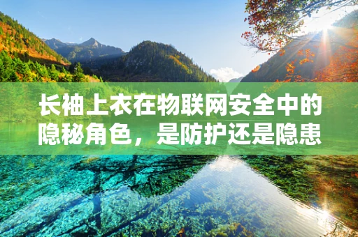 长袖上衣在物联网安全中的隐秘角色，是防护还是隐患？