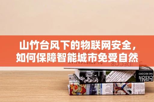 山竹台风下的物联网安全，如何保障智能城市免受自然灾害影响？