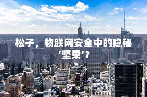 松子，物联网安全中的隐秘‘坚果’？