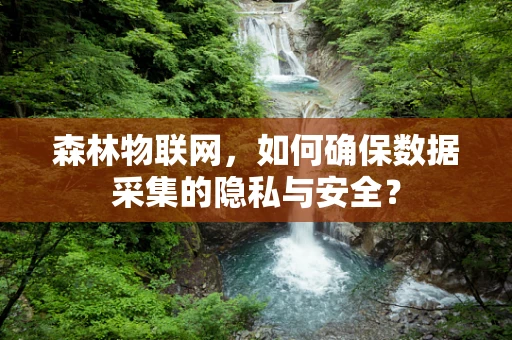 森林物联网，如何确保数据采集的隐私与安全？