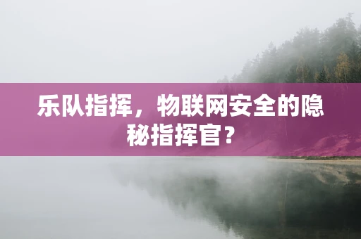 乐队指挥，物联网安全的隐秘指挥官？