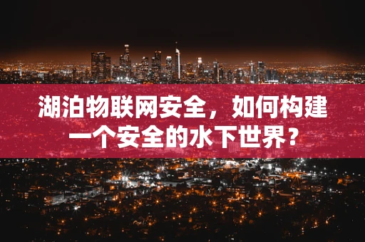 湖泊物联网安全，如何构建一个安全的水下世界？