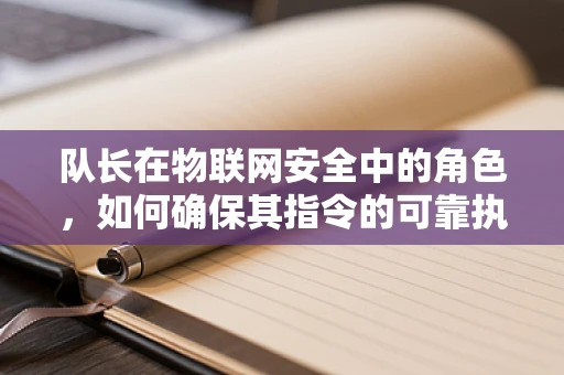 队长在物联网安全中的角色，如何确保其指令的可靠执行与安全防护？