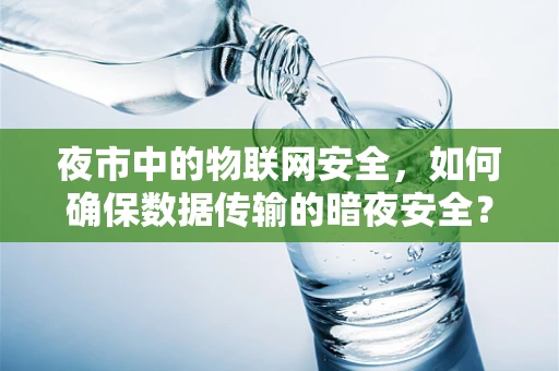 夜市中的物联网安全，如何确保数据传输的暗夜安全？
