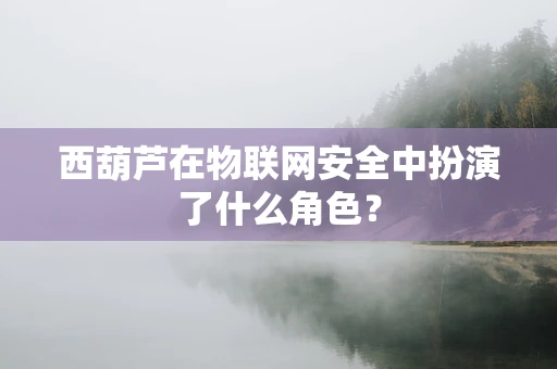 西葫芦在物联网安全中扮演了什么角色？