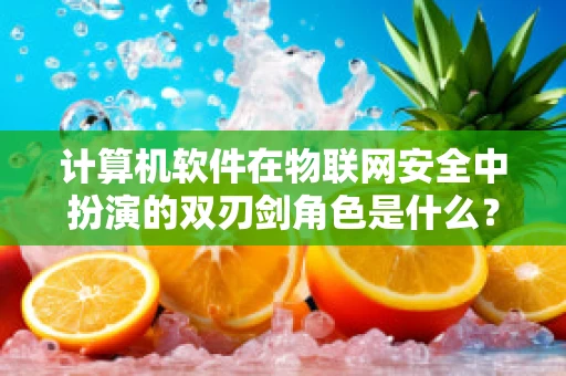 计算机软件在物联网安全中扮演的双刃剑角色是什么？