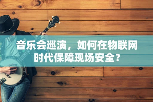 音乐会巡演，如何在物联网时代保障现场安全？