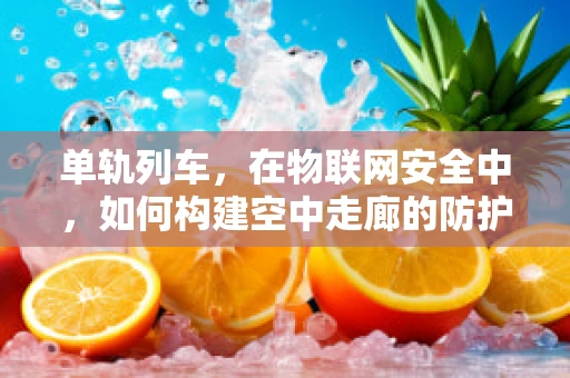 单轨列车，在物联网安全中，如何构建空中走廊的防护网？
