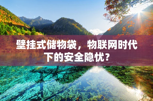 壁挂式储物袋，物联网时代下的安全隐忧？