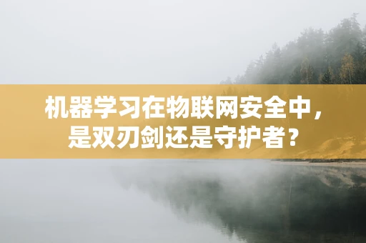 机器学习在物联网安全中，是双刃剑还是守护者？