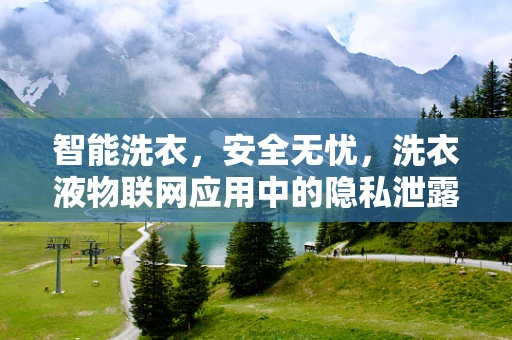 智能洗衣，安全无忧，洗衣液物联网应用中的隐私泄露风险？