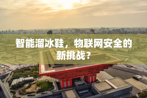 智能溜冰鞋，物联网安全的新挑战？