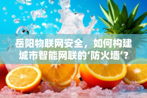 岳阳物联网安全，如何构建城市智能网联的‘防火墙’？