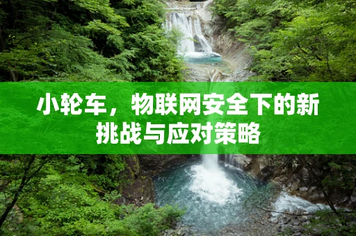 小轮车，物联网安全下的新挑战与应对策略