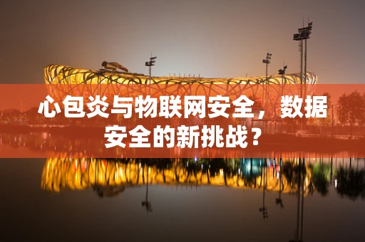 心包炎与物联网安全，数据安全的新挑战？