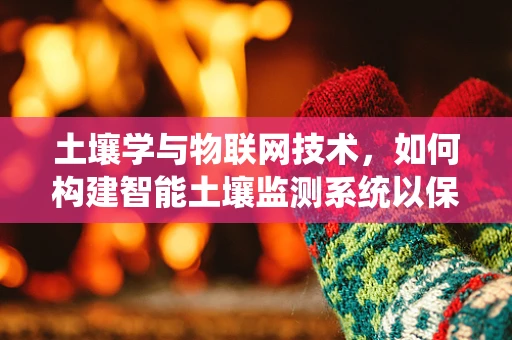 土壤学与物联网技术，如何构建智能土壤监测系统以保障农业安全？
