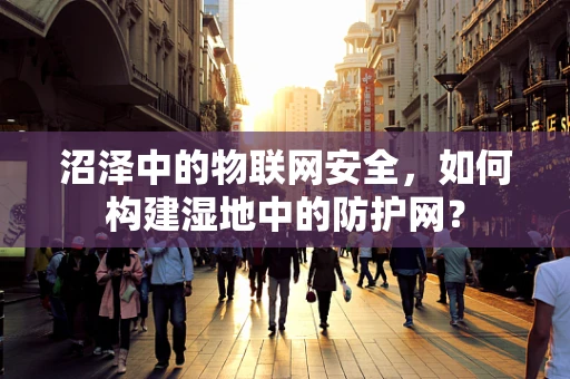 沼泽中的物联网安全，如何构建湿地中的防护网？