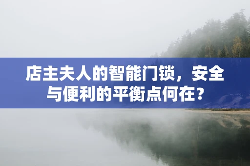 店主夫人的智能门锁，安全与便利的平衡点何在？