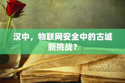 汉中，物联网安全中的古城新挑战？