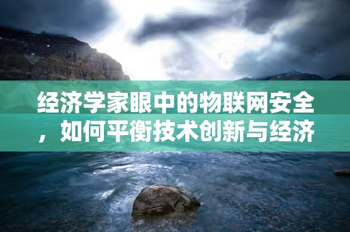 经济学家眼中的物联网安全，如何平衡技术创新与经济安全？