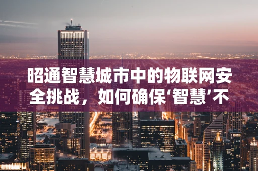 昭通智慧城市中的物联网安全挑战，如何确保‘智慧’不被窃取？