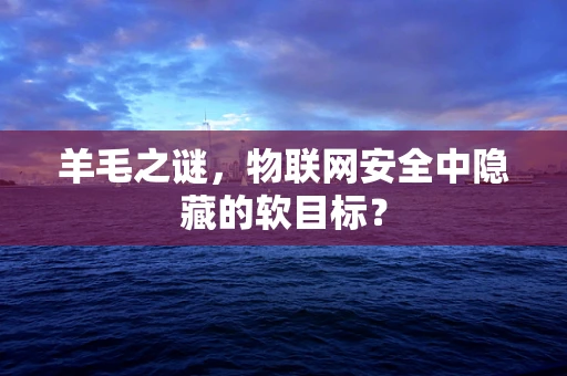 羊毛之谜，物联网安全中隐藏的软目标？