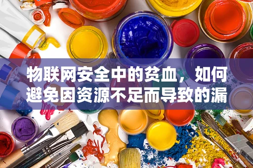 物联网安全中的贫血，如何避免因资源不足而导致的漏洞？