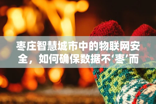 枣庄智慧城市中的物联网安全，如何确保数据不‘枣’而逃？