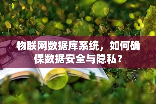 物联网数据库系统，如何确保数据安全与隐私？
