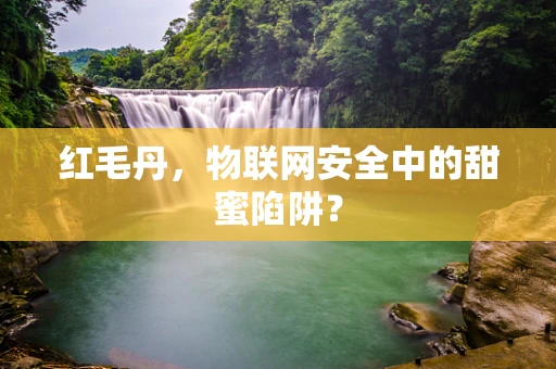 红毛丹，物联网安全中的甜蜜陷阱？