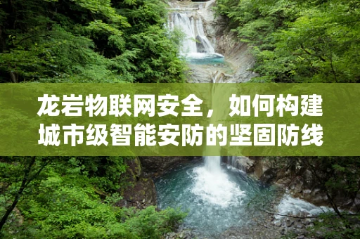 龙岩物联网安全，如何构建城市级智能安防的坚固防线？