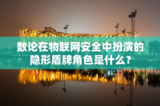 数论在物联网安全中扮演的隐形盾牌角色是什么？