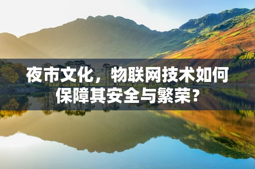 夜市文化，物联网技术如何保障其安全与繁荣？