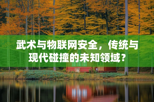 武术与物联网安全，传统与现代碰撞的未知领域？