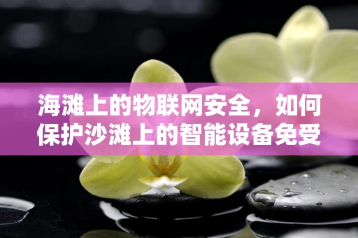 海滩上的物联网安全，如何保护沙滩上的智能设备免受黑客攻击？