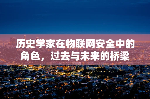 历史学家在物联网安全中的角色，过去与未来的桥梁