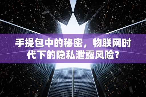 手提包中的秘密，物联网时代下的隐私泄露风险？