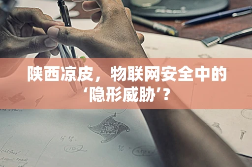 陕西凉皮，物联网安全中的‘隐形威胁’？