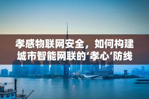 孝感物联网安全，如何构建城市智能网联的‘孝心’防线？