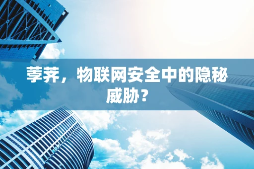 荸荠，物联网安全中的隐秘威胁？