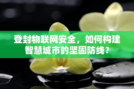 登封物联网安全，如何构建智慧城市的坚固防线？