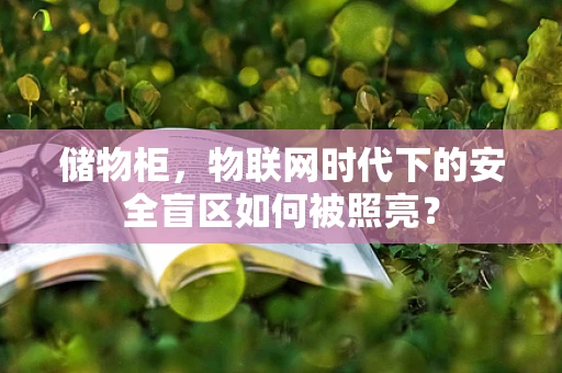 储物柜，物联网时代下的安全盲区如何被照亮？