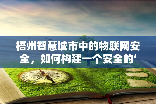 梧州智慧城市中的物联网安全，如何构建一个安全的‘智慧梧州’？